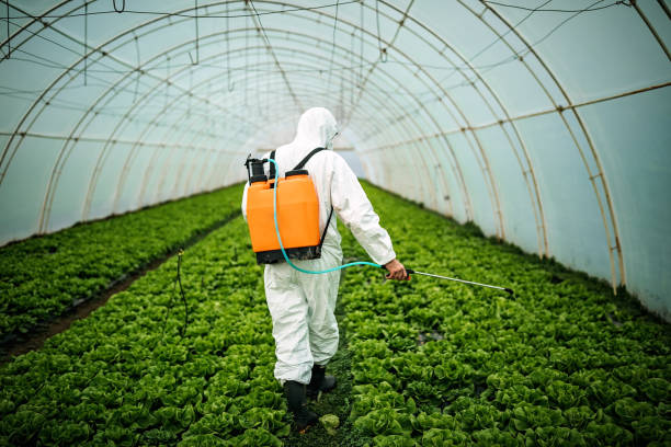 Reliable Oneonta, AL Pest Control Solutions
