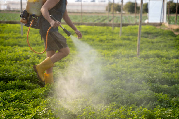 Best Pest Removal Services  in Oneonta, AL