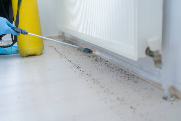 Best Pest Control for Homes  in Oneonta, AL